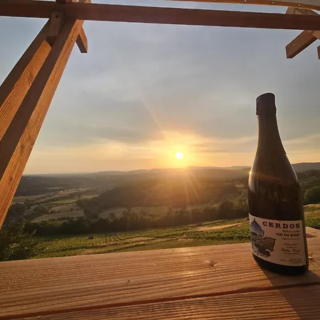 Roulotte & Coucher De Soleil Sur Les Vignes